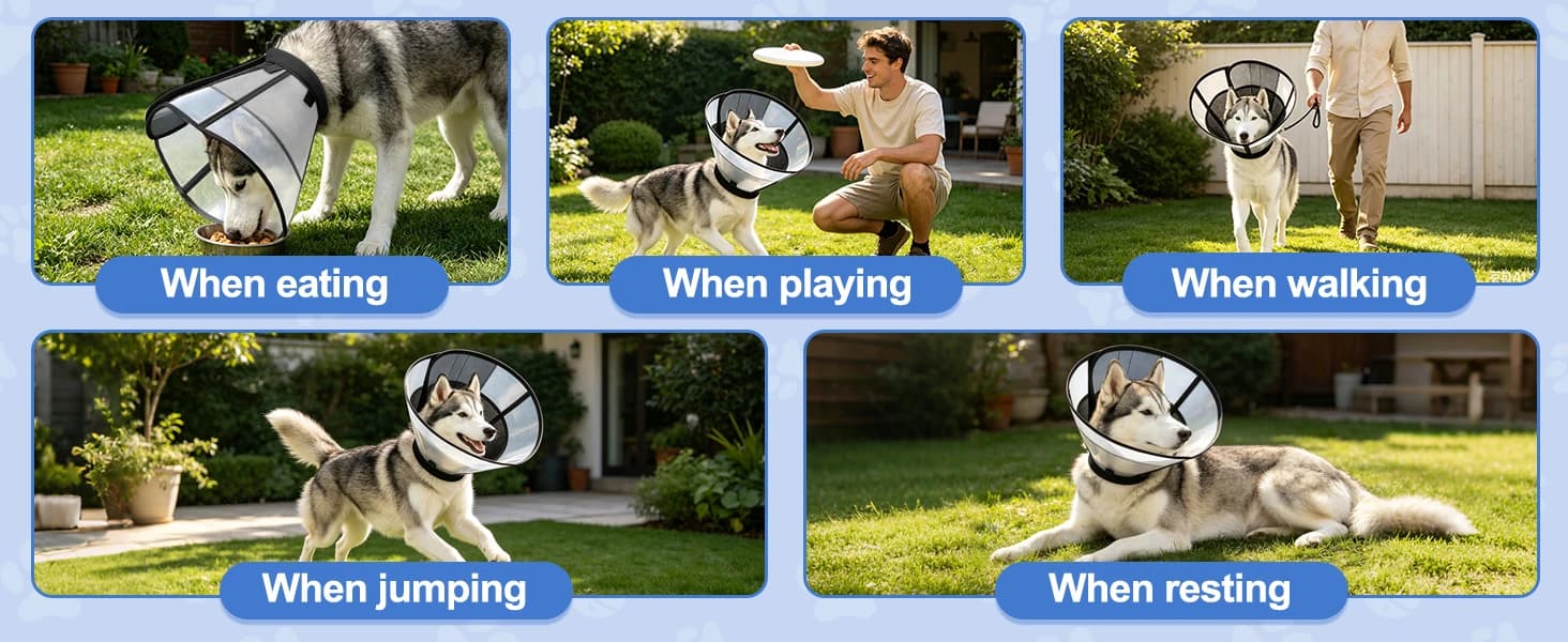 Dog Cone to Stop Licking — Soft Dog Cone Collar Alternative After Surgery — product details