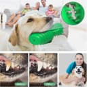 Cactus Dog Chew Toy for Aggressive Chewers
