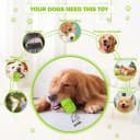 Natural Rubber Squeaky Dog Chew Toy for Large Aggressive Chewers