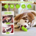 Natural Rubber Squeaky Dog Chew Toy for Large Aggressive Chewers