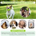 Natural Rubber Squeaky Dog Chew Toy for Large Aggressive Chewers