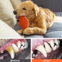 Dog Chew Toys 3 Pack for Aggressive Chewers