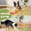 Dog Chew Toys for Aggressive Chewers — Rubber Squeaky Dog Toys