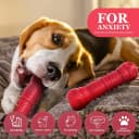 Dog Squeaky Toys for Aggressive Chewers
