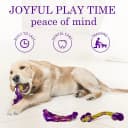 Tough Dog Toys for Aggressive Chewers 3 Pack — Indestructible Dog Toys for Large Dogs
