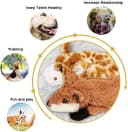 Dog Squeaky Toys — 5 PCS Crinkle Plush Dog Toys