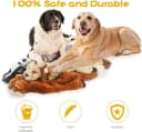 Unstuffed Woodland Squeaky Dog Toys — 5 Pack