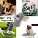 Dog Toy — Large Dog Squeaky Toys