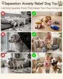 5 Pack Plush Squeaky Dog Toys for Small Dog