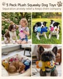 5 Pack Plush Squeaky Dog Toys for Small Dog