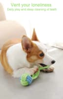 Dog Toy Interactive Chewing Rope Ball Toys Natural Cotton Washable Durable Tug of War for Small and Medium Dogs