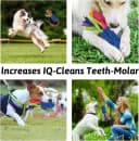 Dog Tug Toy — Dog Toys for Aggressive Chewers
