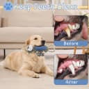 Funny Plush Dog Chew Toys — Squeaky Dog Toys