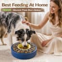 Adjustable 5-60 Min Slow Feeder Dog Bowl and Puzzle Feeder Anti-Gulping