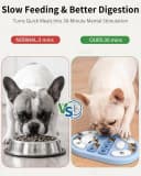 Dog Puzzle Toy — Interactive Enrichment Treat Food Puzzles