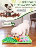 Snuffle Mat for Dogs — Slow Feeder Interactive Puzzle Dog Food Mat