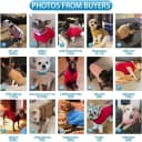 Cable Knit Turtleneck Dog Sweater with Leash Opening
