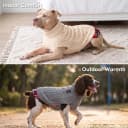 Dog Sweater for Small Dogs Turtleneck Thick Knit Pullover