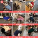 Dog Sweater for Small Dogs Turtleneck Thick Knit Pullover