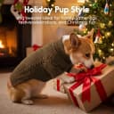 Dog Sweater for Extra Large Dogs — Warm Knit Sweater for Labrador