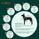 Dog Winter Coat — Reversible Waterproof Dog Jacket with Reflective Strip