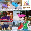Dog Winter Coat with Harness