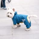 Dog Raincoat — Waterproof Dog Rain Jacket with Hood