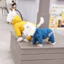 Dog Raincoat — Waterproof Dog Rain Jacket with Hood