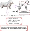 Clear Dog Rain Poncho for Small and Medium Dogs