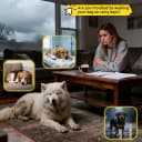 Clear Dog Raincoat — Transparent PVC Cape Style Pet Rain Jacket with Hidden Leash Hole