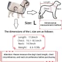 Transparent Dog Rain Poncho for Small and Medium Dogs - Thick Waterproof Raincoat with Hidden Leash Hole &