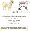 Clear Dog Raincoat — Transparent PVC Cape Style Pet Rain Jacket with Hidden Leash Hole