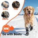 Winter Dog Boots for Large Dogs