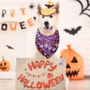 9 Pcs Holiday Dog Bandanas — Adjustable Washable Pet Scarves