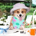 20 Pcs Plain Dog Bandana Bulk for Puppy Dog