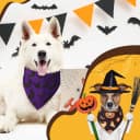 100 Pcs Dog Bandanas Blank Bulk — Plain