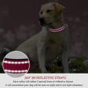 Reflective Dog Collar — Puppy Collar with Buckle Adjustable