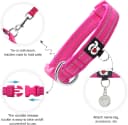 Reflective Dog Collar — Neoprene Padded Small Dog Collar
