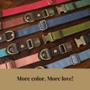 PU Leather Dog Collar for Medium Dogs — Soft Nylon Lining