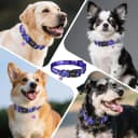 Dog Collar Cute and Soft Nylon Puppy Collar Girl Dogs — Adjustable Dog Collars for Medium Dogs