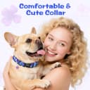 Dog Collar Cute and Soft Nylon Puppy Collar Girl Dogs — Adjustable Dog Collars for Medium Dogs