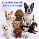 Dog Collar Cute and Soft Nylon Puppy Collar Girl Dogs — Adjustable Dog Collars for Medium Dogs