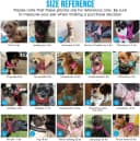 Small Dog Harness and Leash Set