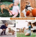 Tactical Dog Harness for Small Dogs with Handle — Military Service Dog Vest and Leash Set for Outdoor Training