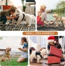 Tactical Dog Harness for Small Dogs with Handle — Military Service Dog Vest and Leash Set for Outdoor Training