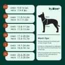 Dog Tuxedo Harness — Pet Harness No Pull for Small and Medium Dogs