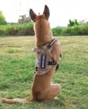 Tactical Dog Harness — No Pull Vest for Large Dogs Desert Camo L
