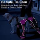 Dog Harness — No Pull Pet Vest for Large Dog