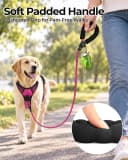 Rope Dog Leash for Medium and Large Dogs