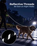 Rope Dog Leash for Medium and Large Dogs